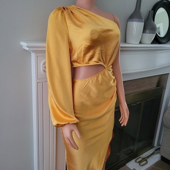 Alice elle NWT Dress size 12. - Picture 2 of 15